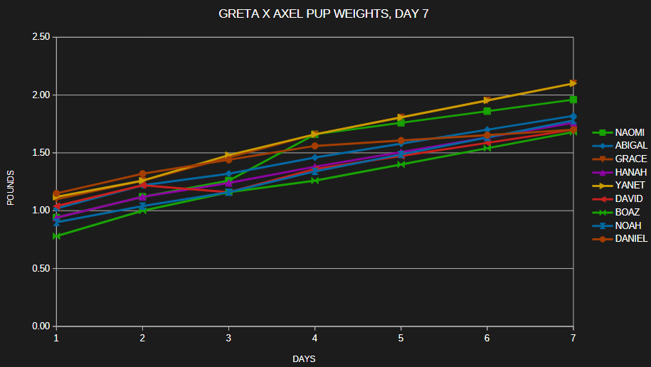 pup weights day 7